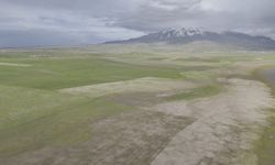 Bitlis’in Saklı Cenneti: Cil Gölü ve Sütey Yaylası Doğaseverleri Büyülüyor