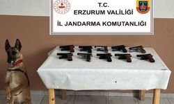 Jandarma Operasyonunda 10 Ruhsatsız Tabanca Ele Geçirildi