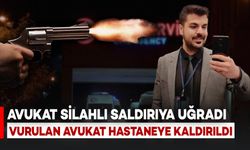 Avukata Silahlı Saldırı: Vurulan Avukat Hastaneye Kaldırıldı, Saldırgan İse Kaçtı