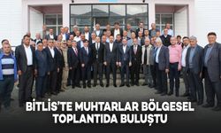 Bitlis'te Muhtarlar Bölgesel Toplantıda Buluştu
