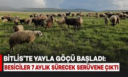 Bitlis'te Yayla Göçü Başladı: Besiciler 7 Ay Sürecek Serüvene Çıktı