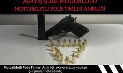 Bingöl’de Ruhsatsız Silah Ele Geçirildi
