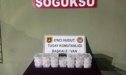 Van'da 22 Kilo Uyuşturucu Ele Geçirildi