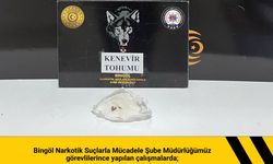 Bingöl’de Asayiş Uygulamalarında Bıçak ve Hint Keneviri Tohumu Ele Geçirildi