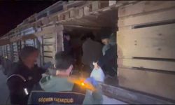 Bitlis’te Tırın Kasasında 42 Göçmen Yakalandı: 2 Tutuklama