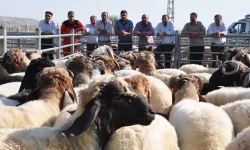 Kurbanlık Fiyatları Açıklandı: En Ucuz ve En Pahalı İller Belli Oldu