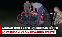 Pancar Toplarken Uçurumdan Düşen Kadın Hayatını Kaybetti