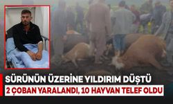 Sürünün Üzerine Yıldırım Düştü: 2 Çoban Yaralandı, 10 Hayvan Telef Oldu