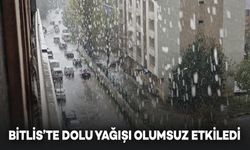 Bitlis'te Dolu Yağışı Hayatı Olumsuz Etkiledi