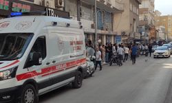 Cizre'de Sokak Ortasında Taşlı Sopalı Kavga: 3 Yaralı