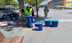 Temizlik ve Ulaşım Hamlesi: 100 Noktaya Yeni Çöp Kutusu, STM Yoluna Çizgi
