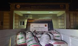 Van'da 2 Ton Kaçak Avlanmış İnci Kefali Ele Geçirildi