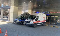 Ahırda Süt Sağarken Kene Isırdı