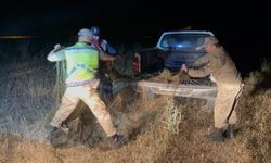 Van Gölü’nde Kaçak Avcılara Geçit Yok: 1,5 Ton İnci Kefali Ele Geçirildi