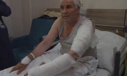 Van'da Ot Biçerken Kurt Saldırısına Uğradı