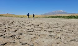 Kuraklık Adilcevaz’daki Heybeli Gölü'nü Kuruttu