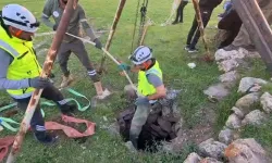 Kuyuya Düşen Dana 2 Gün Sonra Kurtarıldı