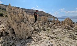 Bitlis'in Van Gölü Sahilleri Mikrobiyalit Tarlasına Döndü: Güzellik mi, Tehlike mi?
