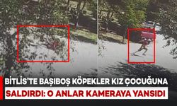 Bitlis'te Başıboş Köpekler Küçük Kız Çocuğuna Saldırdı: O Anlar Kamerada
