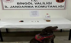 Uyuşturucuya Geçit Yok: 4 Noktaya Baskın, Kenevir ve Metamfetamin Ele Geçirildi
