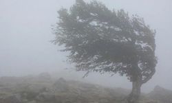 Siirt’te Kuvvetli Rüzgâr Uyarısı