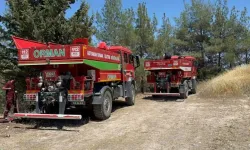 Çakmakla Oynayan Çocuklar Orman Yangınına Neden Oldu