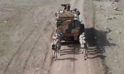 Silah Kaçakçılığı Operasyonu: 8 Gözaltı
