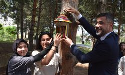 Bitlisli Öğrenciler Atık Malzemelerden Yaptıkları Kuş Yuvalarını Millet Bahçesine Astı