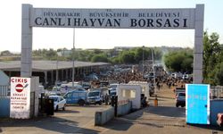 Besiciler: "maliyet çok müşteri yok"