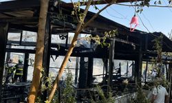 Siirt Kurtalan’da Kafe Yangını: İşletme Küle Döndü