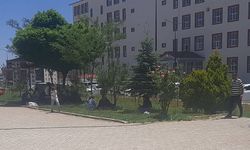 Bitlis’te Binlerce Öğrenci TYT’de Ter Döküyor