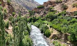 Bitlis’te Deresi ve Taş Evleriyle Hacı Mehmet Köyü Fotoğrafçıların Uğrak Noktası Oldu