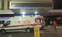 Kız Kaçırma Nedeniyle Silahlı Kavga: Anne Hayatını Kaybetti, 2 Gözaltı