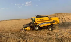 Buğday Tarlalarında Hayal Kırıklığı: Çiftçiler Beklenen Verimi Alamadı