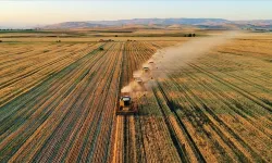Kırsala 10,2 Milyar Lira Hibe: 18 Bin Kişiye İstihdam Müjdesi