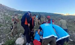 Yaban Hayvanlardan Kaçarken Dağlık Alanda Düşen Çoban Yaralandı