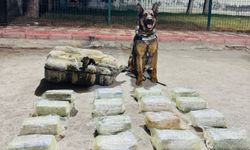 Batman’da 20 Kilo Toz Esrar Ele Geçirildi: 1 Tutuklama