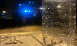Batman’da TOKİ Konutlarını Akrepler Bastı: Mahalleli Tedirgin