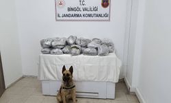 Bingöl'de jandarma ekiplerince 49 kilo esrar ele geçirildi