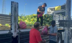 Esnaftan Örnek Davranış: 30 Ton Karpuzu Ücretsiz Dağıttı