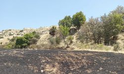 Arazi Yangınında 34 Dönüm Arpa Tarlası Kül Oldu