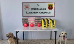 Yol Uygulamasında 3 Bin 210 Paket Kaçak Sigara Ele Geçirildi