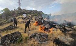 Bitlis'te Rüzgarın Etkisiyle Büyüyen Örtü Yangını Korkuttu