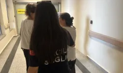 Kulağını Kene Isıran Kadın Hastaneye Kaldırıldı