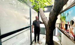 Van’da Asırlık Ceviz Ağacı İş Yerinin İçinde Yaşamaya Devam Ediyor