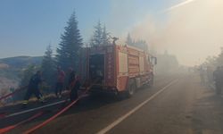 Orman Yangınına Havadan ve Karadan Müdahale