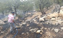 Siirt’te Orman Yangını Erken Müdahaleyle Söndürüldü