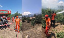 Bingöl’deki Orman Yangını Meydana Geldi