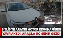 Bitlis'te Aracın Motor Bölmesine Saklanan Yavru Kedi, Araçla Beraber Üç Şehir Gezdi