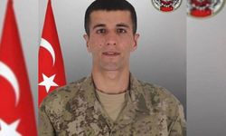 Bitlis'e şehit acısı düştü